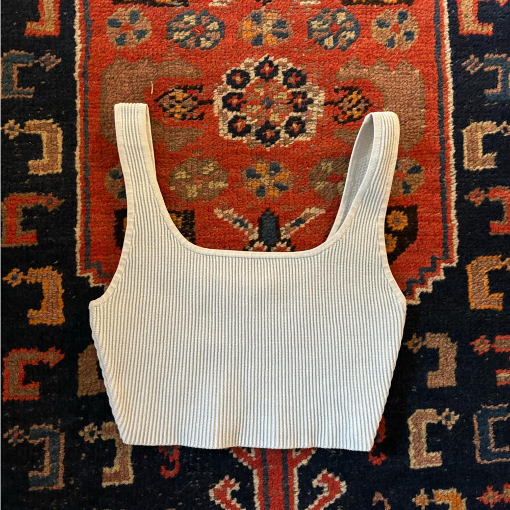 ARITZIA Babaton light blue crop top